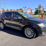 2013 Lincoln Mix &mdash; photo 6