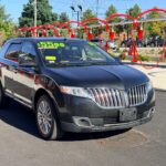 2013 Lincoln Mix &mdash; photo 8