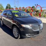 2013 Lincoln Mix &mdash; photo 4