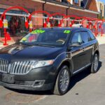 2013 Lincoln Mix &mdash; photo 1