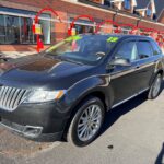 2013 Lincoln Mix &mdash; photo 2